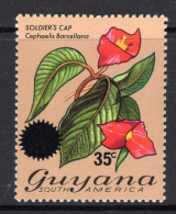 Guyana 1976 Surcharge - 35c On 60c Soldier's Cap HM (SG 649) - Guyane (1966-...)