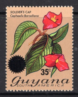 Guyana 1976 Surcharge - 35c On 60c Soldier's Cap HM (SG 649) - Guyana (1966-...)