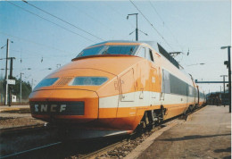 TGV 46 . Sud-Est . Tirage Editions De L'Est . Belfort . - Trains