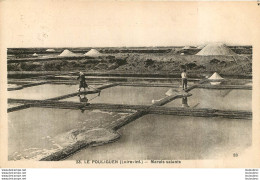 LE POULIGUEN MARAIS SALANTS - Le Pouliguen