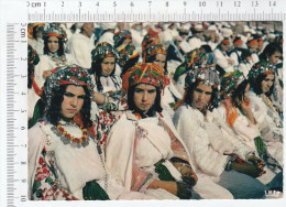 Morocco, Maroc - Groupe Folklorique - Tribus Ait Adidou - Folk Group - Ait Adidu Tribes - Other & Unclassified