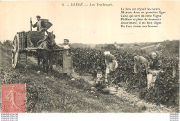 BLERE LES VENDANGES - Bléré