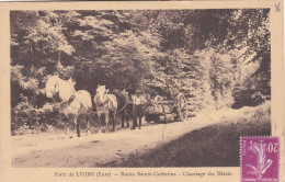 [27] Eure. Lyons La Fôret. Route Sainte Catherine. Charriage Des Hêtres - Lyons-la-Forêt