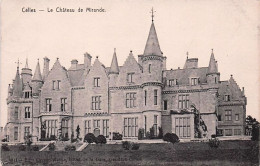 Belgique  - CELLES  - Le Chateau De Mirande - Celles