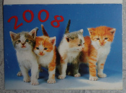 Petit Calendrier De Poche 2008 Chat Chaton  - Givet Ardennes - Petit Format : 2001-...