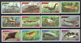 Guyana 1980 London 1980 Stamp Exhibition - Fishes Set HM (SG 733-744) - Guyana (1966-...)