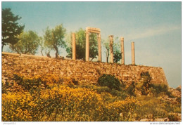 LIBAN - LEBANON BYBLOS (JBEIL ) GRECO.ROMAN COLUMNS - Lebanon