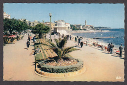 088424/ SAINT-RAPHAËL, La Promenade Du Bord De Mer - Saint-Raphaël