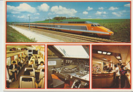 TGV 59 . Sud-Est . En Ligne . TGV Multi Photos . Intérieur . Tirage Michel Henri . Abeilles Photo . - Treni