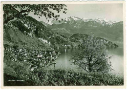 (99). Suisse. Luzerne Luzern Lac Des 4 Cantons & Pont De La Chapelle & Kurort Vitznau - Lucerne