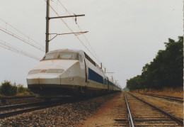 TGV 61 . Genlis . Sud-Est . Essai 1ère Rame TGV . 07 07 1988 . Tirage Optique Sociale . N)6:8875 ; - Trains