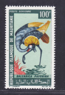 MAURITANIE AERIENS N°   64 ** MNH Neuf Sans Charnière, TB (D7583) Oiseaux - 1967 - Mauretanien (1960-...)