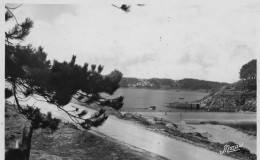 MOELAN-sur-MER-KERFANY-les-PINS - Vue De La Plage, Au Fond Port-Manech - Datée 1953 - Moëlan-sur-Mer