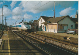 TGV 68 . Atlantique . Le Genest . Rame N° 312 . 28 01 1990 . Tirage Optique Sociale . - Treinen