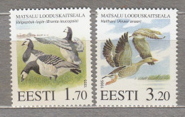 ESTONIA 1995 Fauna Birds Ducks MNH(**) Mi 245-246 # Est315 - Estland