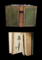 [Signed Binding] ROUSSEAU (Jean-Jacques) -  Letters On The Elements Of Botany. - 1801-1900
