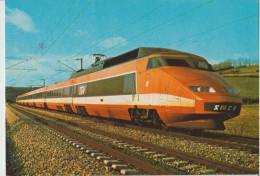 TGV 81 . Sud-Est . En Ligne . Cachet Vichy . Baptême . 19 Mai 1984 . Photo SNCF . - Eisenbahnen