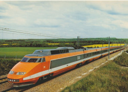 TGV 82 . Sud-Est . En Ligne . Tirage SNCF . Photo P Olivain . - Treni