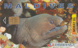 PHONE CARD MALDIVE  (E54.11.8 - Maldiven