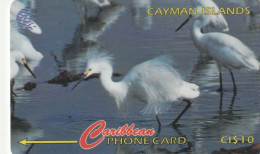 PHONE CARD CAYMAN ISLANDS  (E51.7.1 - Islas Caimán