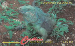 PHONE CARD CAYMAN ISLANDS  (E51.6.7 - Isole Caiman