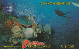 PHONE CARD CAYMAN ISLANDS  (E51.4.2 - Kaaimaneilanden