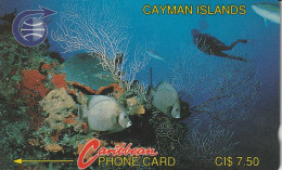 PHONE CARD CAYMAN ISLANDS  (E51.3.2 - Isole Caiman