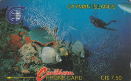 PHONE CARD CAYMAN ISLANDS  (E50.38.8 - Islas Caimán