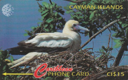 PHONE CARD CAYMAN ISLANDS  (E50.37.7 - Iles Cayman