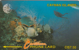 PHONE CARD CAYMAN ISLANDS  (E50.34.2 - Islas Caimán