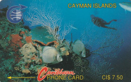 PHONE CARD CAYMAN ISLANDS  (E50.32.7 - Kaaimaneilanden