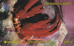 PHONE CARD CAYMAN ISLANDS  (E50.33.3 - Kaaimaneilanden