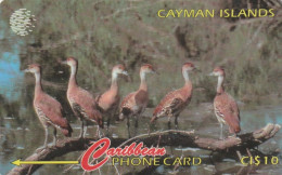 PHONE CARD CAYMAN ISLANDS  (E49.58.1 - Iles Cayman