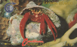 PHONE CARD CAYMAN ISLANDS  (E49.56.6 - Isole Caiman