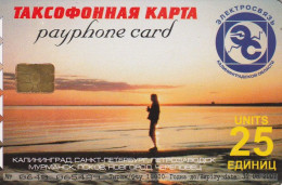 PHONE CARD RUSSIA ELECTROSVYAZ - KALININGRAD (RUS48.8 - Russia