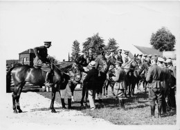 Photographie - Tirlemont - Coucour Hippique - Soldats - Prince De Croy ( Le Roeulx) -  Carlier - Carte Postale Moderne - Europa