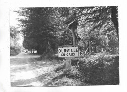 76 - RARE Photo De OURVILLE-en-CAUX -  ( S.-M. ) " Entrée Du Bourg "  Cliché Dussol Pour L' édition Par  Lapie - Ourville En Caux