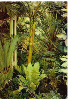 FLORA OLOMOUC EXPOSITION D HORTICULTURE PRAGUE 1968 TIMBRE SLOVAQUIE - Plantes Toxiques