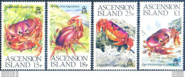 Fauna. Granchi 1989. - Ascension (Ile De L')