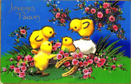 CM18. 3D French Greetings Postcard. Chicks, Roses And Horse Shoe. - Vogels