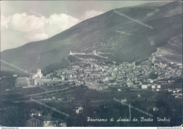 Aa607 Cartolina Panorama Di Assisi Da Bastia Umbra Provincia Di Perugia - Perugia