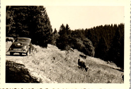Photographie Photo Vintage Snapshot Amateur Automobile Voiture Savoie - Places