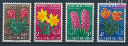 Luxemburg 531-534 (kompl.Ausg.) Postfrisch 1955 Blumenfest (10363244 - Ungebraucht