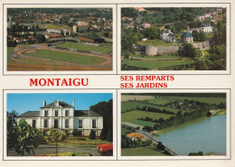 MONTAIGU. -  Multivues - Montaigu