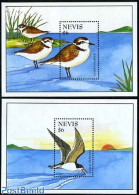Nevis 1995 Water Birds 2 S/s, Mint NH, Nature - Birds - St.Kitts Und Nevis ( 1983-...)