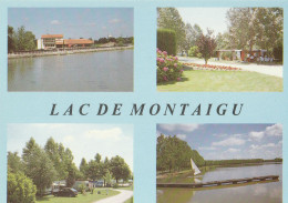 LAC DE MONTAIGU. -  Multivues - Montaigu