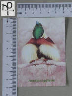 CALENDARS  - BIRDS OF PARADISE - 2024 - 2 SCANS  - (Nº58778) - Formato Piccolo : 2001-...