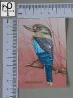 CALENDARS  - BIRDS OF PARADISE - 2024 - 2 SCANS  - (Nº58781) - Klein Formaat: 2001-...