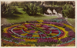 CN79. Vintage Postcard. The Floral Clock, Weymouth, Dorset. - Weymouth