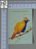 CALENDARS  - BIRDS OF PARADISE - 2024 - 2 SCANS  - (Nº58789) - Tamaño Pequeño : 2001-...